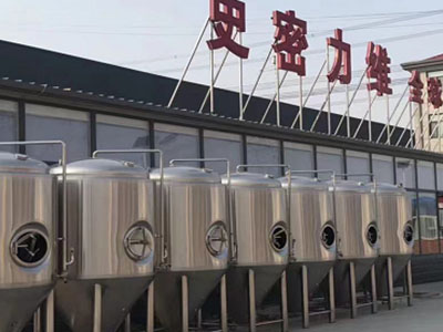 大荔精酿啤酒设备厂—如何判断精酿啤酒设备的密封件需要更换？